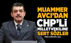 Muammer Avcı'dan Chp'li milletvekiline sert sözler!