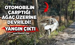 Otomobilin çarptığı ağaç üzerine devrildi, yangın çıktı