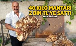 Ormanda 40 kilogramlık mantar buldu, 2 bin TL'ye sattı