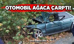 OTOMOBİL AĞACA ÇARPTI