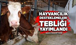 Hayvancılık Desteklemeleri Tebliği yayımlandı