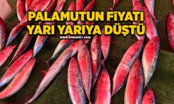 Palamut bollaştı fiyatı yarı yarıya düştü