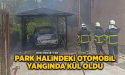 Park halindeki otomobil alevlere teslim oldu