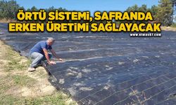 Örtü sistemi safranda erken üretimi sağlayacak