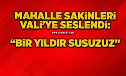 Mahalleli Vali’ye seslendi: “1 yıldır susuzuz”