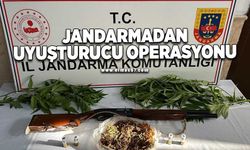 Jandarmadan uyuşturucu operasyonu