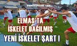 Elmas’ın iskeleti yok: Yeni iskelet şart!