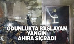 Odunlukta başlayan yangın ahıra sıçradı