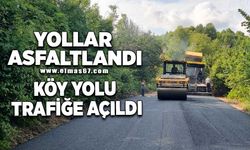 Yollar asfaltlandı köy yolu trafiği açıldı