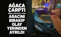 Ağaca çarpan aracın sürücüsü, aracını bırakıp olay yerinden ayrıldı