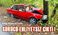 Ağaca çarpan sürücü ehliyetsiz çıktı!