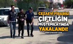 Cezaevi firarisi çiftliğin müştemilatında yakalandı