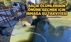 Balık ölümlerinin önüne geçmek için ırmağa su takviyesi