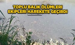 Toplu balık ölümleri ekipleri harekete geçirdi