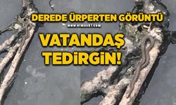 Derede ürperten görüntü: Vatandaş tedirgin!