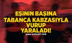 Eşinin, başına tabanca kabzasıyla vurup yaraladı