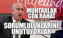 Muhtarlar çok rahat!