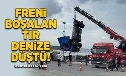 Freni boşalan tır denize düştü