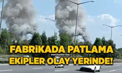 Sakarya'da fabrikada patlama sesi duyuldu