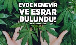 Evde kenevir ve esrar bulundu