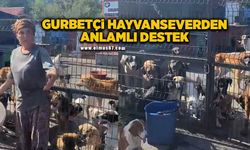 Gurbetçi hayvanseverden sokak hayvanlarına anlamlı destek