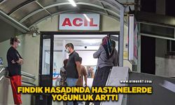 Fındık hasadı döneminde hastanelerde yoğunluk arttı