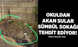 OKULDAN AKAN SULAR SÜMBÜL SOKAĞINI TEHDİT EDİYOR!