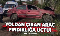 Yoldan çıkan araç fidanlığa uçtu!