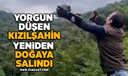 YORGUN DÜŞEN KIZILŞAHİN YENİDEN DOĞAYA SALINDI