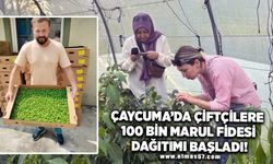 Çaycuma'da Çiftçilere 100 Bin Marul Fidesi Dağıtımı Başladı