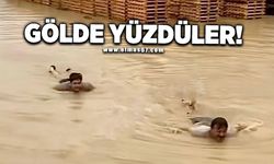 Gölde yüzdüler!