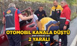 Zonguldak'ta otomobil kanala düştü: 2 yaralı