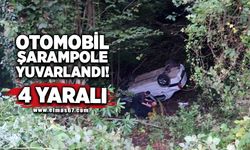 Otomobil şarampole yuvarlandı: 4 yaralı