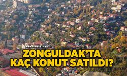 Zonguldak’ta Ağustos ayında kaç konut satıldı?