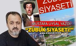 "Zübük Siyaseti"