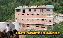 4 katlı ‘apartman mandıra’