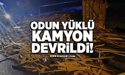 Odun yüklü kamyon devrildi!