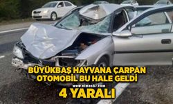 Otomobil büyükbaş hayvana çarptı; 4 yaralı