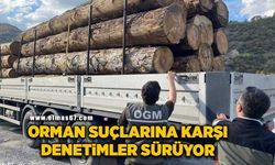 Orman suçlarına karşı denetimler sürüyor