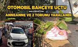 Otomobil evin bahçesine daldı: Anneanne ve 2 torunu yaralandı