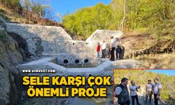 Sel kontrolü için çok önemli proje