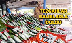 Av sezonu başladı: Tezgahlar balıklarla doldu