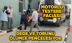 Ağaç keserken seken motorlu testere dede ve torununu hastanelik etti