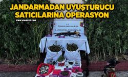 Jandarmadan uyuşturucu satıcılarına operasyon