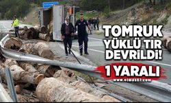 Tomruk yüklü tır virajı alamayarak devrildi: 1 yaralı