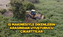 İş makinesiyle dikenlerin arasından uyuşturucu çıkarttılar