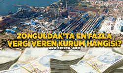 Zonguldak'ta en fazla vergi veren kurum hangisi?