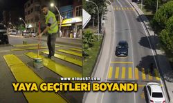 Yaya geçitleri yeniden boyandı ve çizildi