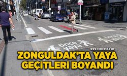 Zonguldak'ta yaya geçitleri boyandı