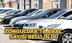 Zonguldak’ta motorlu araç sayısı belli oldu